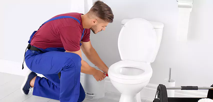 Scope of Bathroom Toilet Bowl Replacement Services in Camarillo, CA