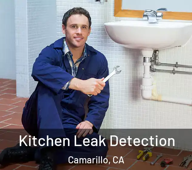  Kitchen Leak Detection Camarillo, CA