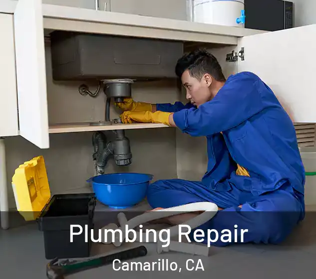  Plumbing Repair Camarillo, CA