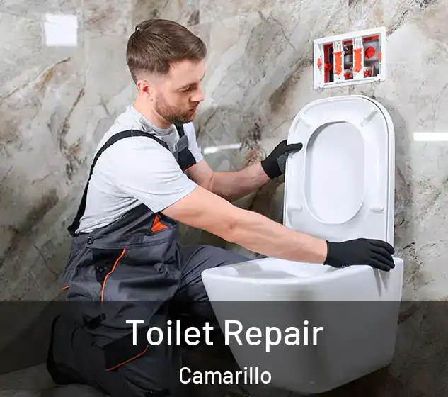  Toilet Repair Camarillo