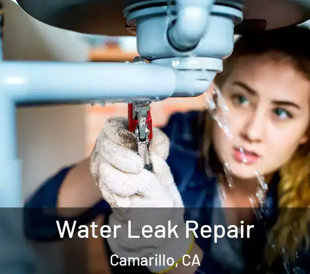  Water Leak Repair Camarillo, CA